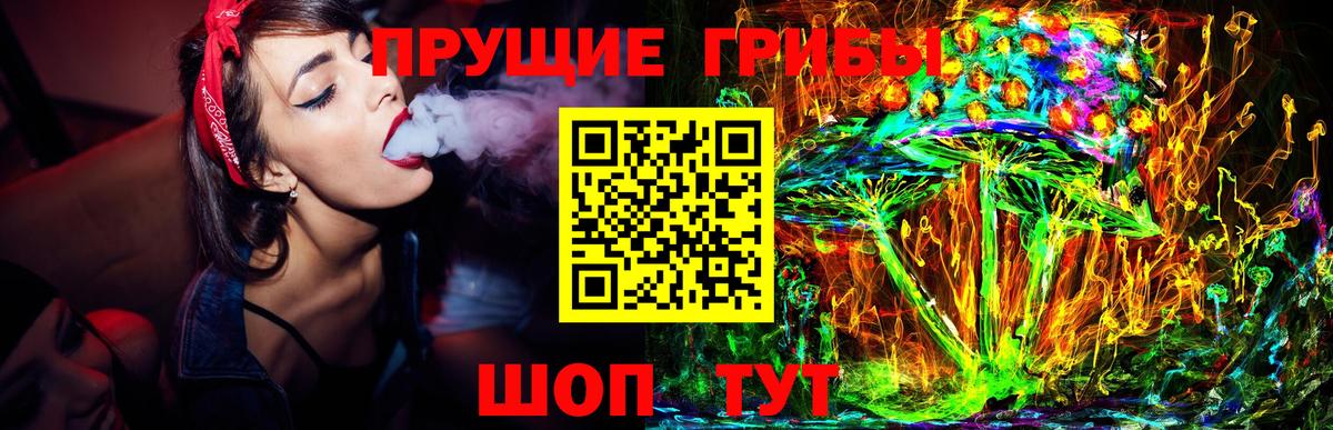 Краснодар  Псилоцибиновые грибы MAGIC MUSHROOMS  Псилоцибиновые грибы Cubensis  Вход с VPN 