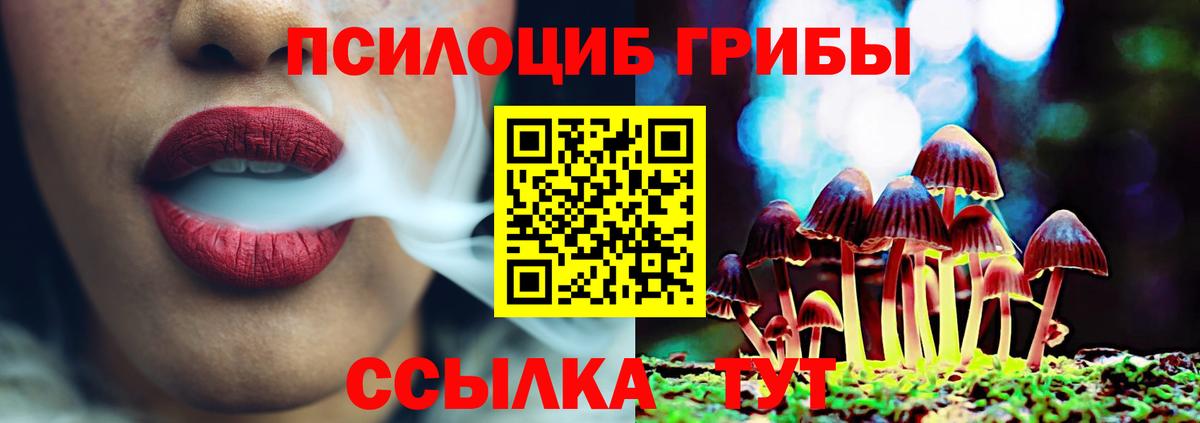 Псилоцибиновые грибы мицелий Краснодар